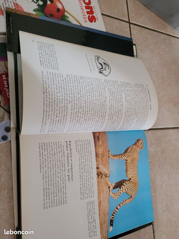 Livre pour enfant (image 4)