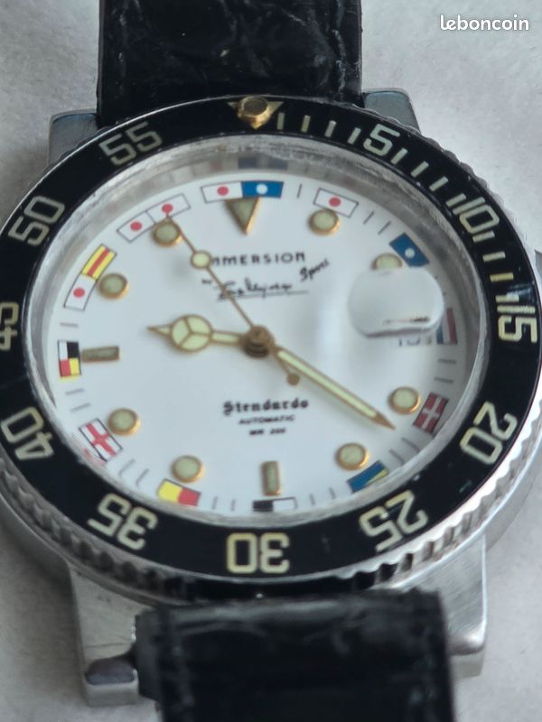 Watch Montre Full Immersion Orologio Cronografo Stendardo Full