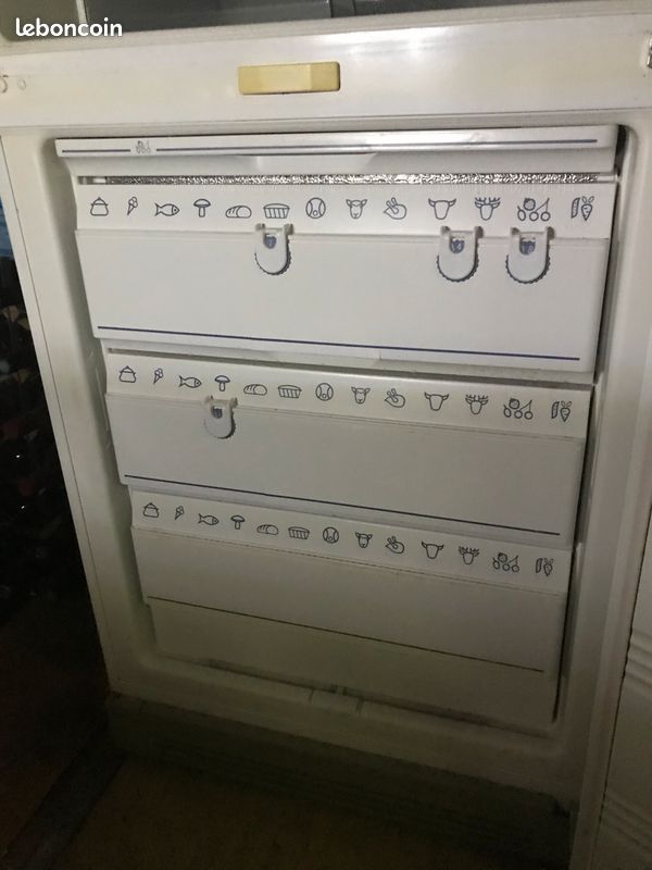 Réfrigérateur congélateur miele urgent (image 3)