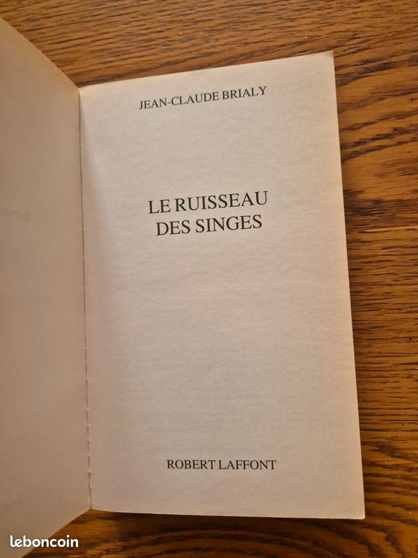 Le ruisseau des singes (image 2)