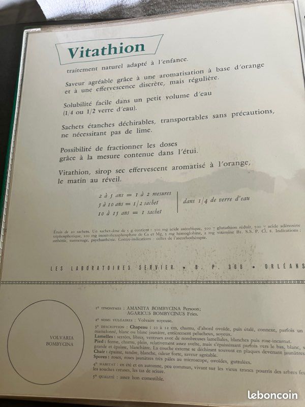 40 gravures A4 représentant des champignons (image 7)