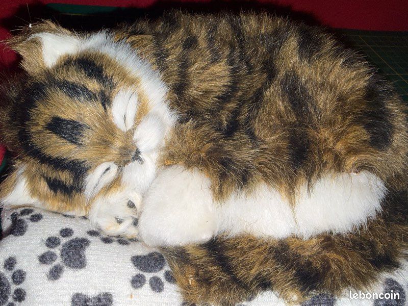 Chats (image 14)