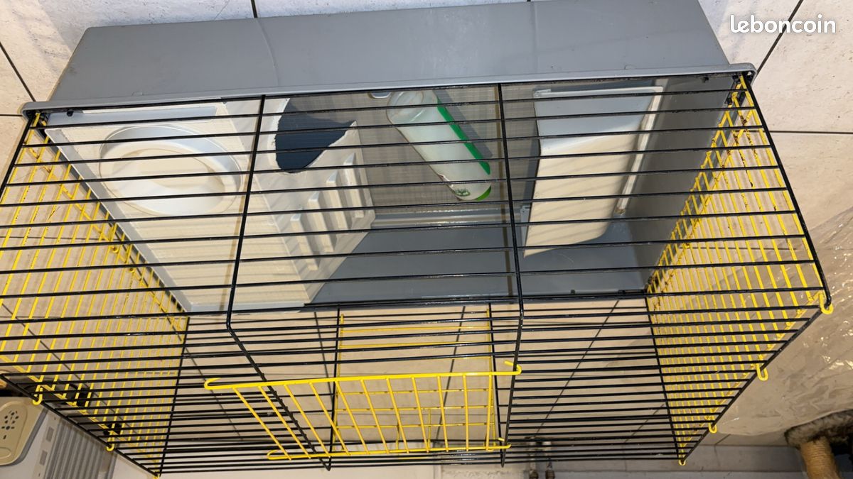 Cage pour cochon d’Inde (image 2)