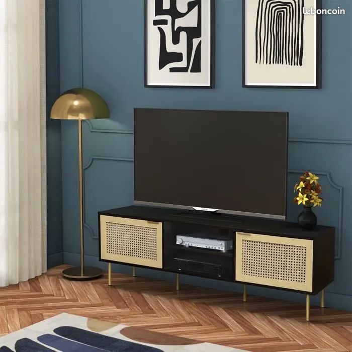 Meuble TV 2 portes (image 1)
