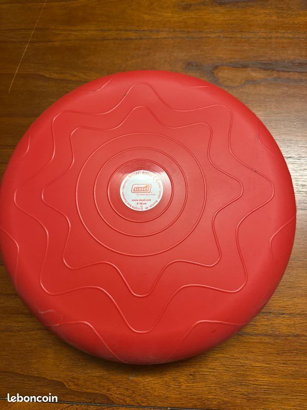 Coussin d assise bureau (image 1)