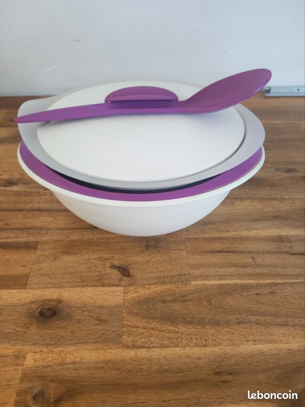 Plat ISO DUO Micro-ondes 2,5L Tupperware – Occasion Bon état