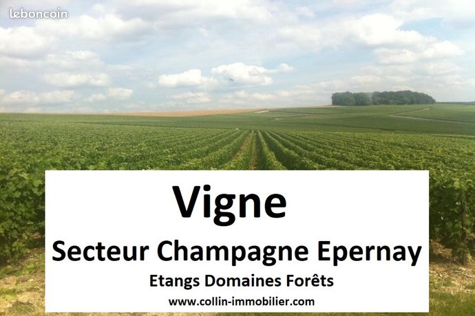 Terrain 50 m² Épernay