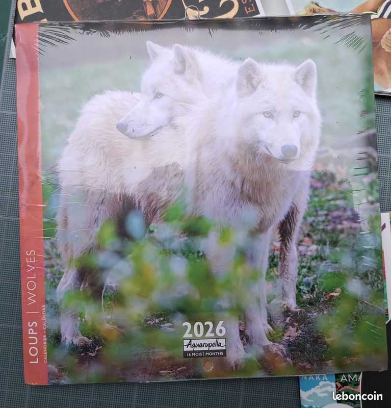 Lot de 5 petits calendriers - Aquarupella - troll69 (image 9)