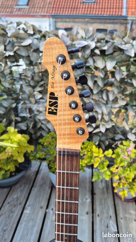 ESP custom The Mirage (image 5)