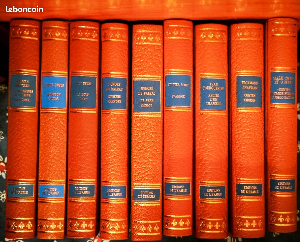 Collection roman grands auteurs classiques (image 6)