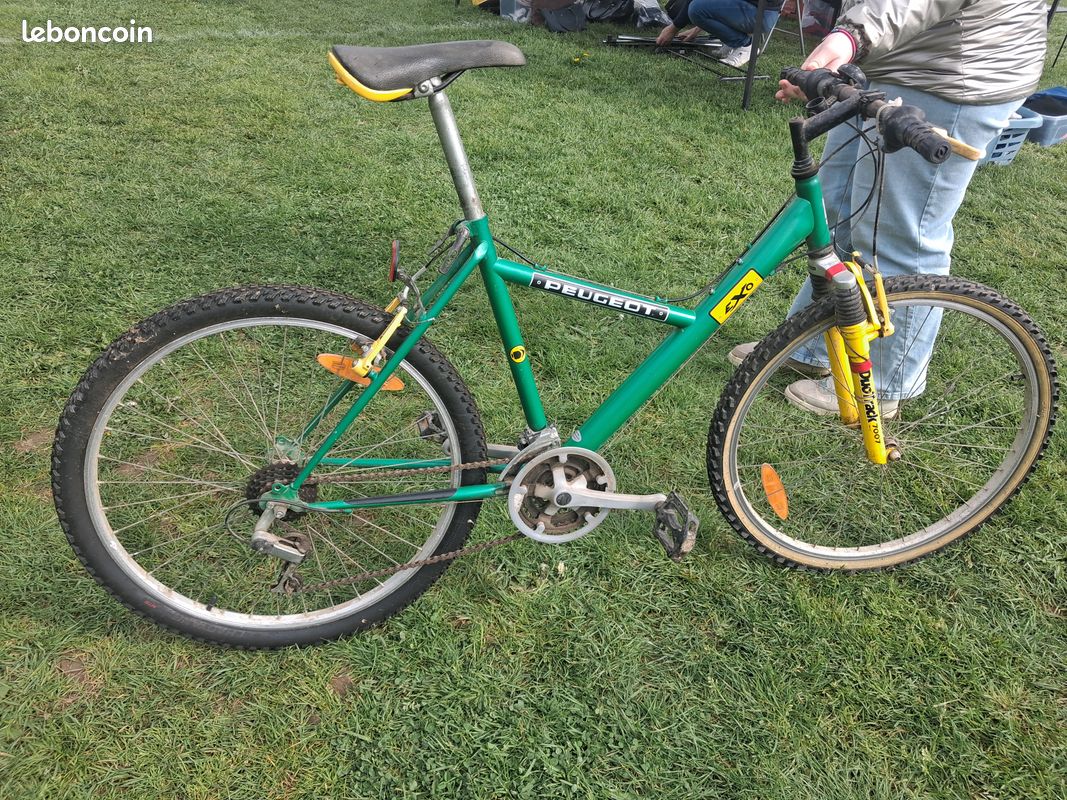 Vélo Homme (image 3)