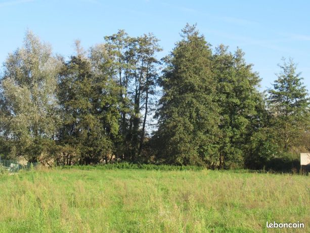 Terrain 1723 m² Sermoyer