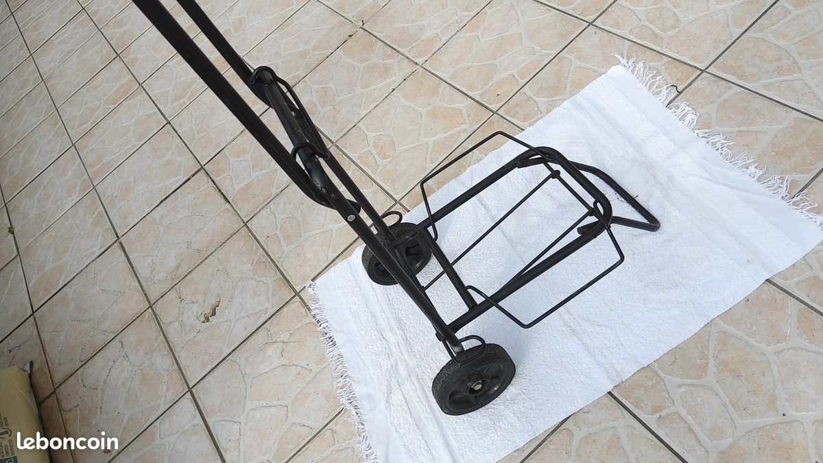 Mini-caddie / Porte valises - Prix libre (image 1)