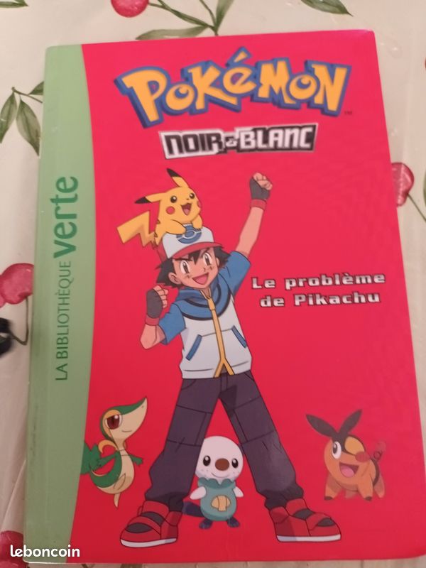 Pokemon. Le problème de pikachu (image 2)