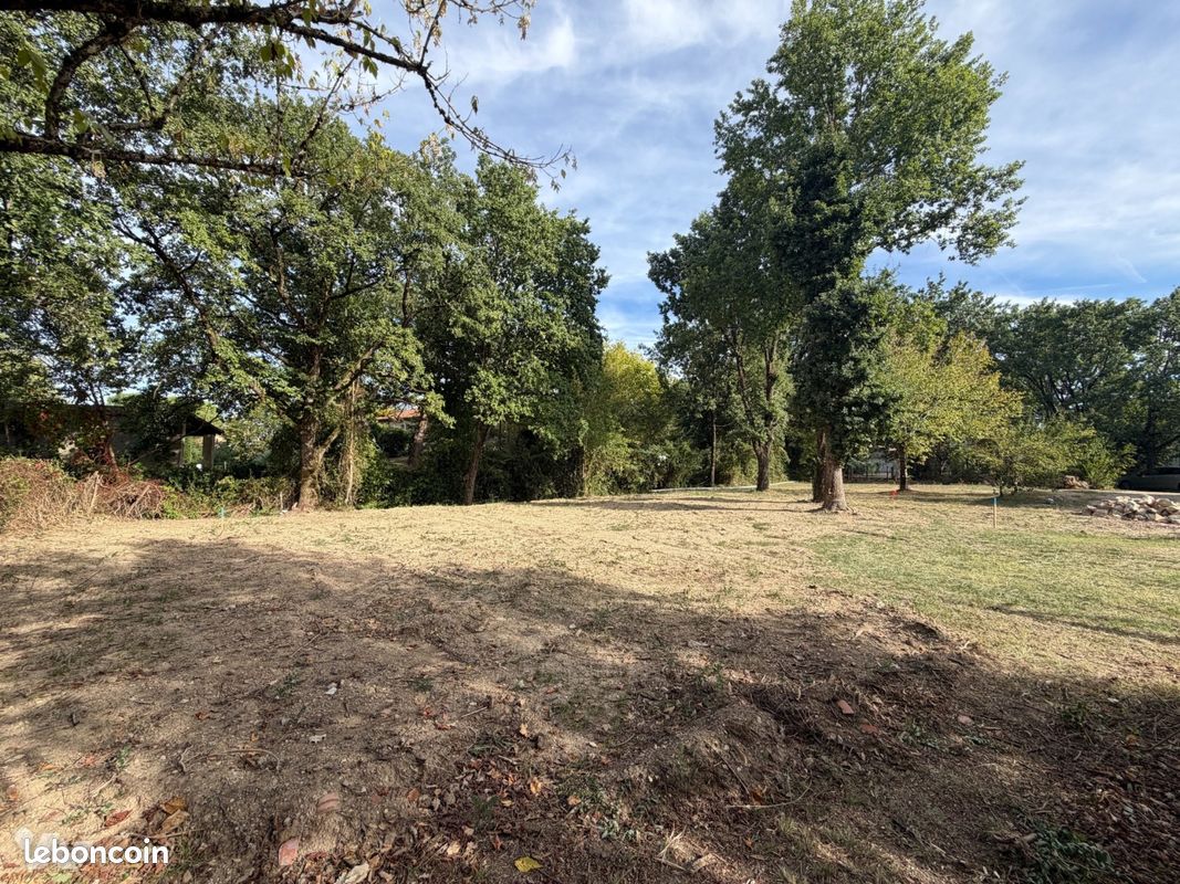 Terrain 815 m² · à Montauban · 815 m² · 65 600 €
