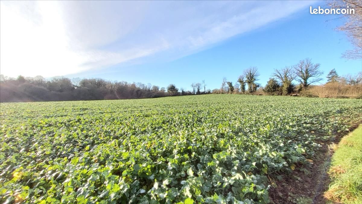 Propriété 5 pièces 85 m² (image 20)