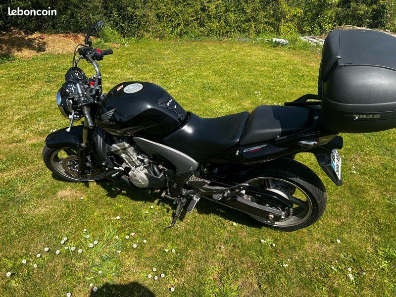 600 cbf non bride (image 3)