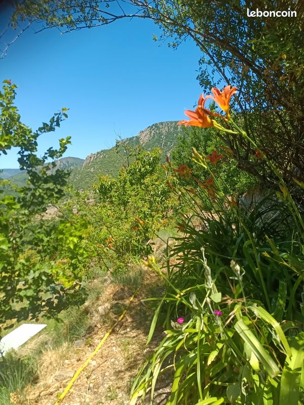 Maison 150 m² · à Montselgues · 150 m² · 69 000 €