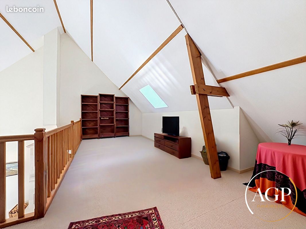 Maison 6 pièces 263 m² (image 13)