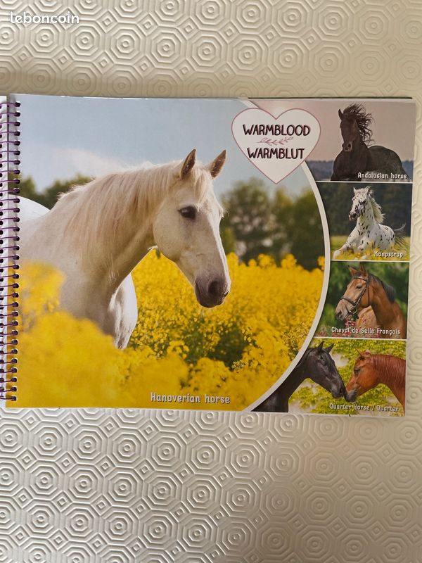 Depesche Miss Melody 12471 Livre de coloriage Stick & Shine 24 pages avec de superbes motifs de chevaux, à colorier et à concevoir