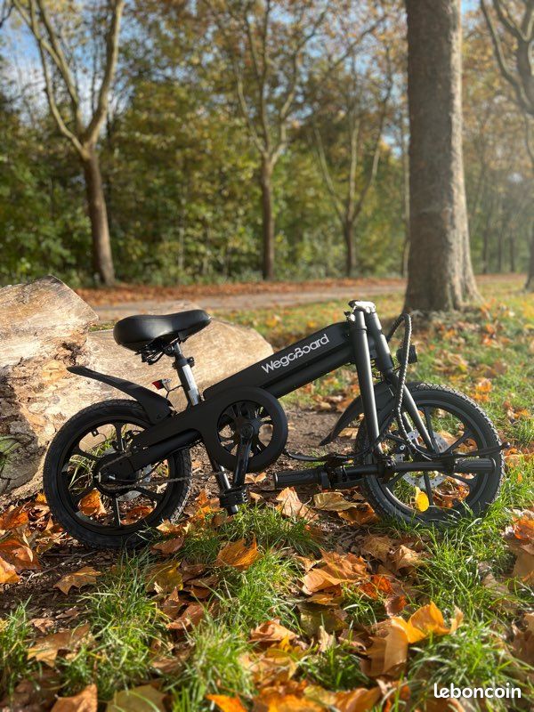 Vélo électrique urbain Wegoboard Fly770 – compact & léger (image 2)