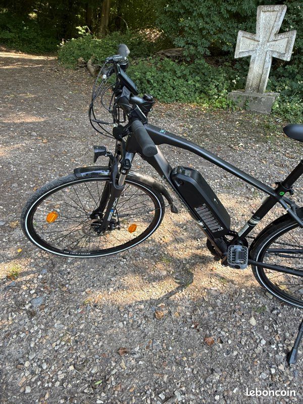 Vtc électrique Wayscral Anyway E100 VTC électrique Wayscral Anyway