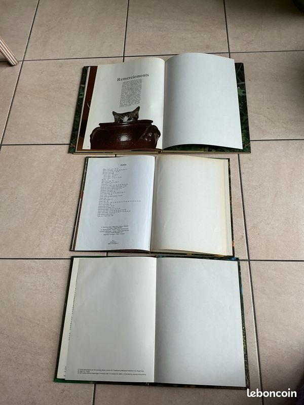 Lot 3 livres photos chats et chatons (image 6)