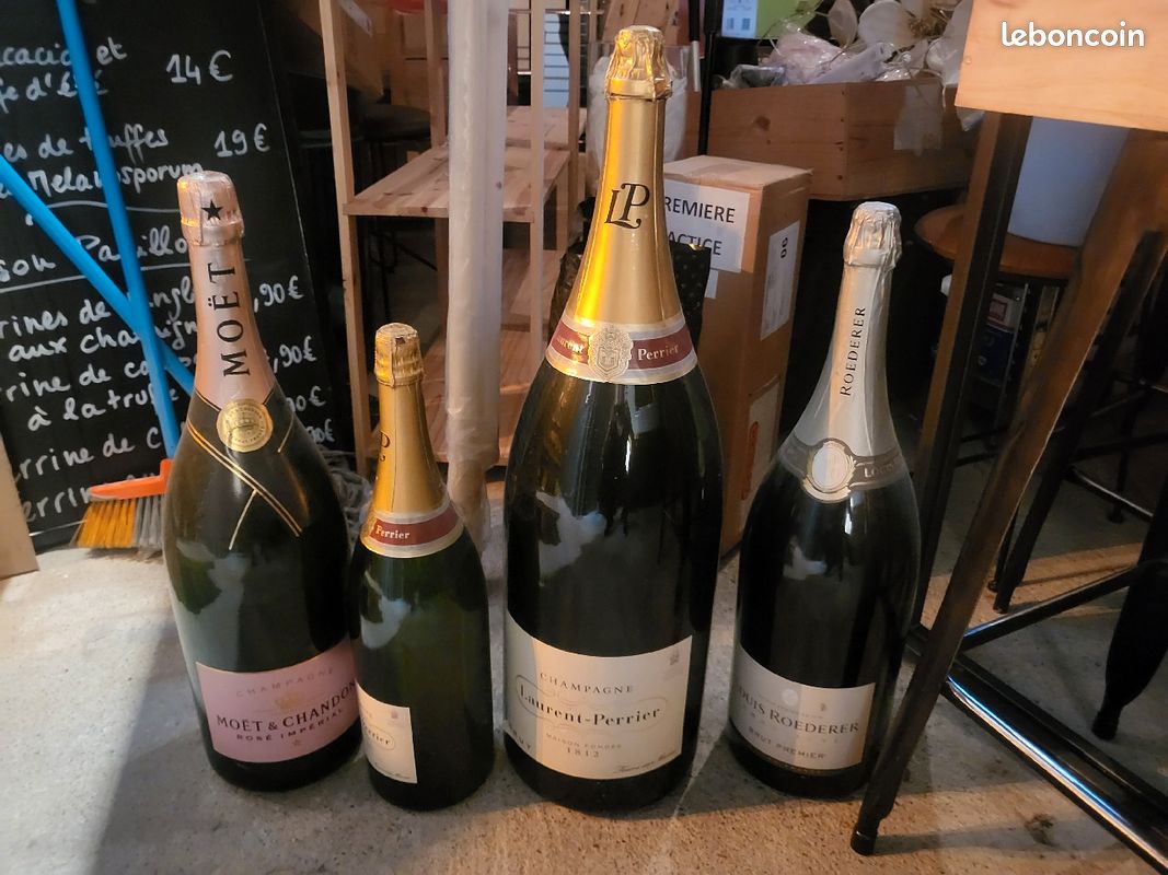 Vend bouteilles factices pour déco (image 1)