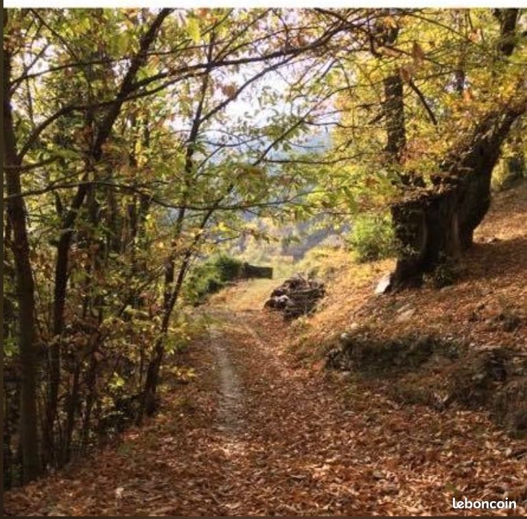 Loue maisonnette en Lozère (image 5)