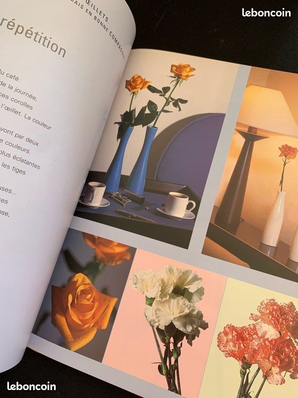 Livre " des fleurs dans la maison" - arts créatifs (image 2)