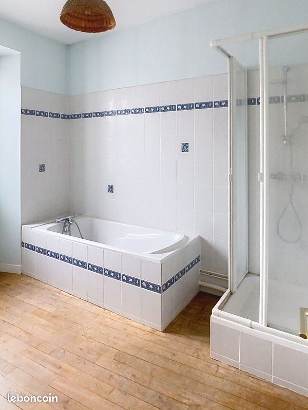 Immeuble 4 pièces 537 m² ESTISSAC (image 18)