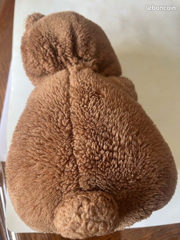 Petit ours brun (image 4)