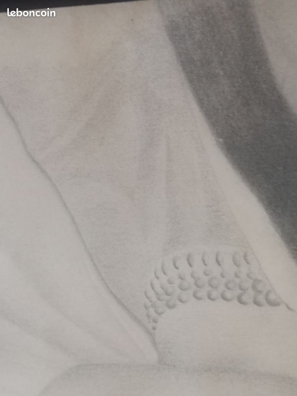 Dessin ancien au crayon - Portrait de femme asiatique (image 6)