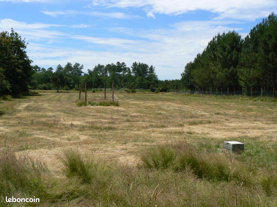 Terrain agricole 35 mn de bordeaux 15 mn des plages · à Carcans · 18 000 €