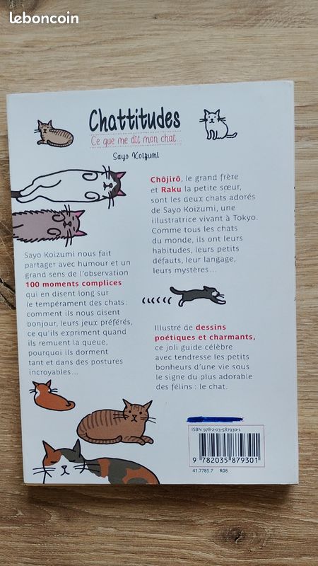 "chattitudes" Sayo Koizumi (image 2)