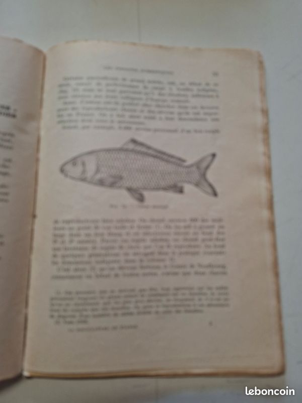 4585: Livre ancien : La pisciculture en étangs (Cypriniculture) - Maison Rustique (image 4)