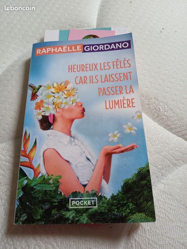 Roman "Heureux les félés car ils laissent passer la lumière" de Raphaële Giordano, une belle lecture qui ravira les amateurs de littérature (image 1)