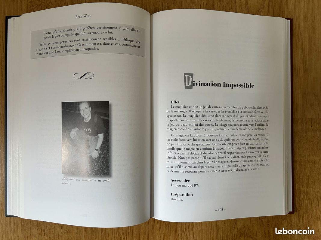 Transparence (Boris Wild) (image 5)
