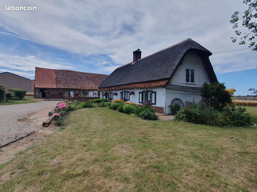 Maison 6 pièces 115 m² · à Sercus · 115 m² · 336 000 €