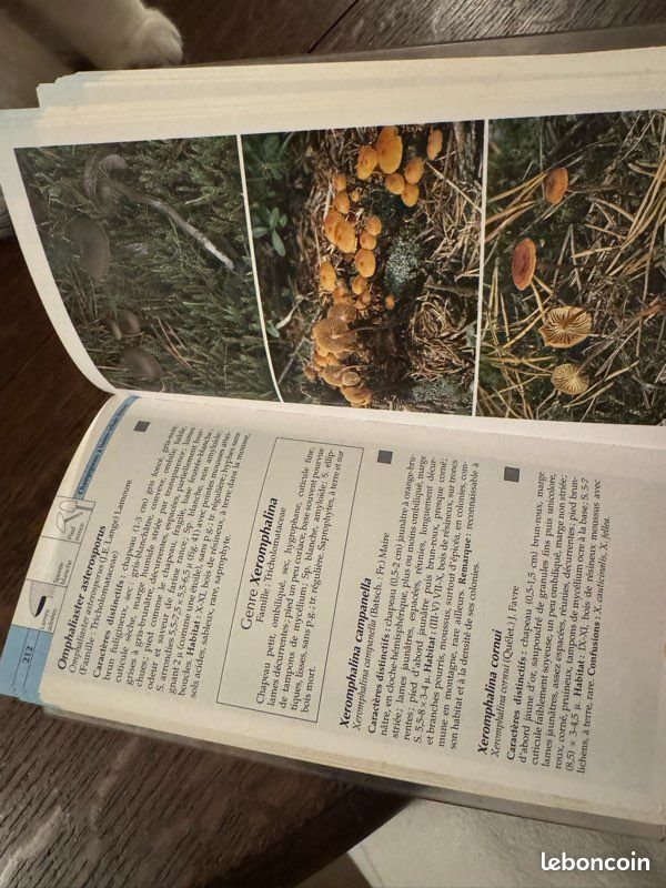 Guide Vigot des champignons (image 2)