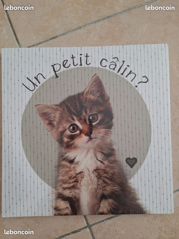 Tableau chaton (image 1)