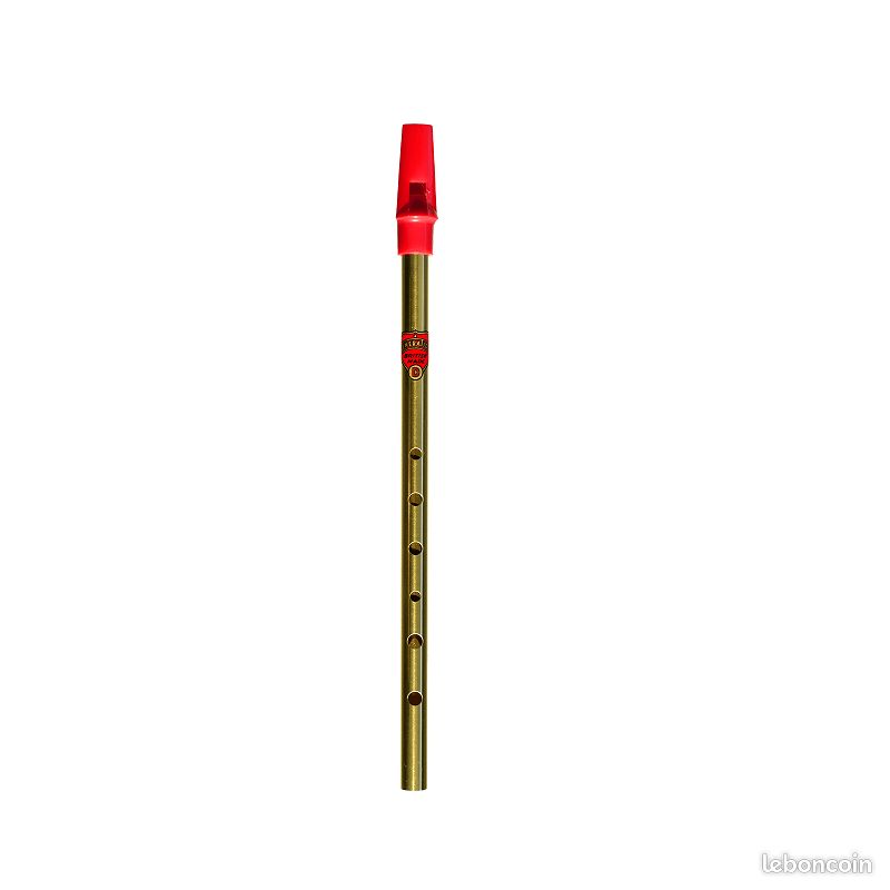Flageolet Laiton en Ré – Génération Musique (image 1)