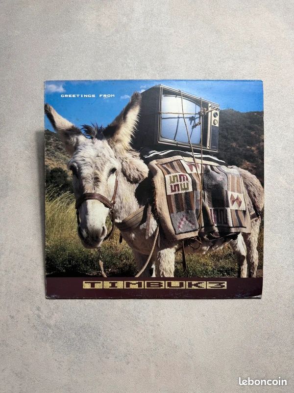 Timbuk 3 vinyle 33 tours Rock🎹 (image 1)