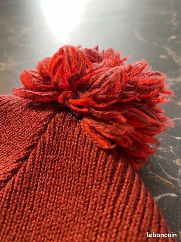 Bonnet Carhartt • 20 euros • Alfortville (image 3)