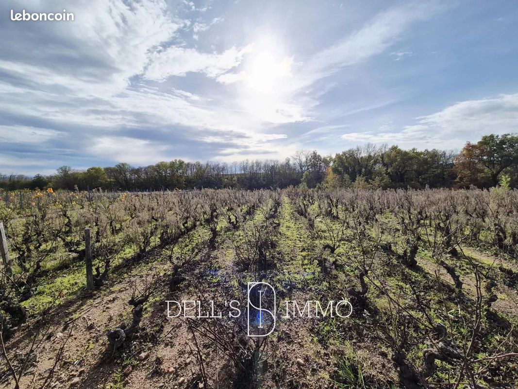 Terrain 72199 m² · à Chénas · 72 199 m² · 585 000 €
