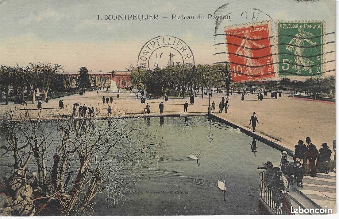 Lot De 34 Photos Anciennes - Tirages Argentiques - France - Thème Famille - Vintage