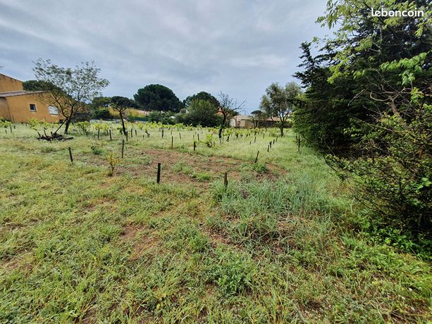 Terrain 5140 m² LE GRAU D AGDE