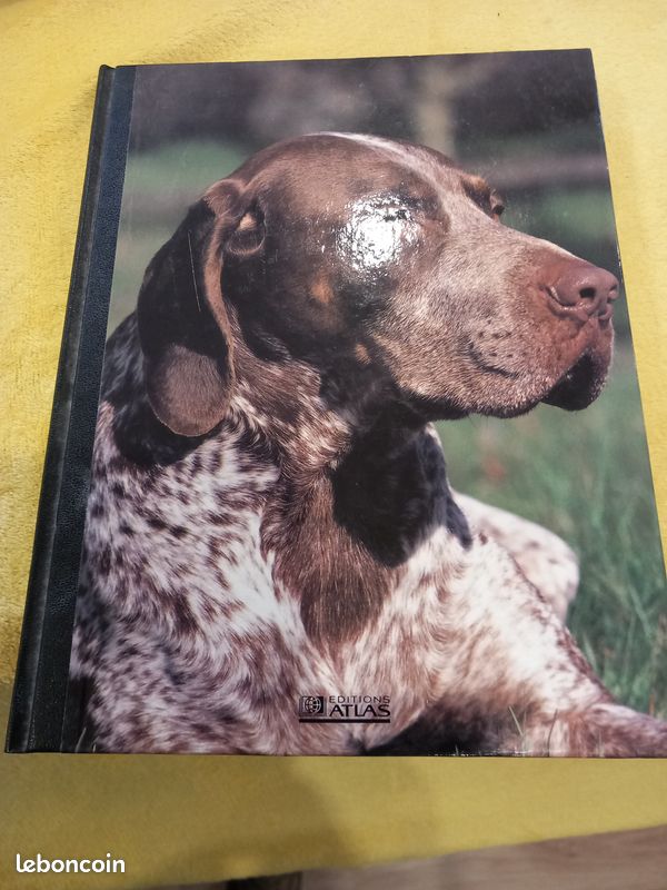 Mon compagnon le chien (image 3)