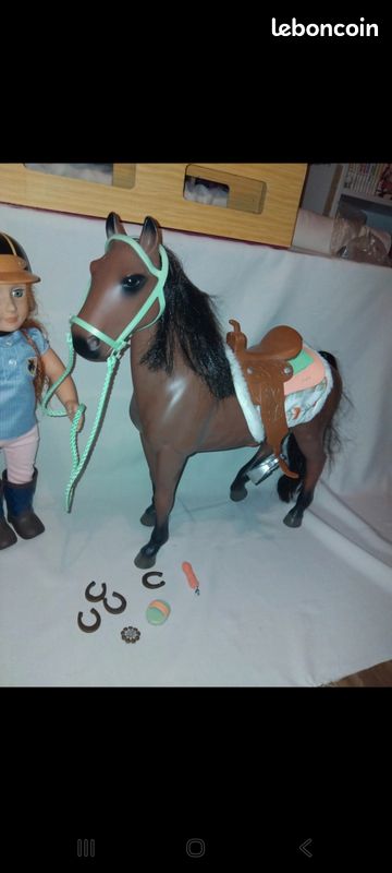 Cheval et sa cavaliere (image 1)