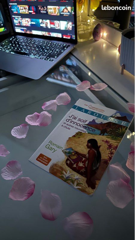 J’ai soif d’innocence et autres nouvelles à chute - Romain Gary (image 1)